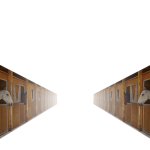 background01.png