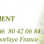 cropped-entete_bellement04.png