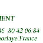 cropped-entete_bellement07.png