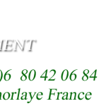 cropped-entete_bellement_003.png