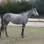 kaly_photo_01_221025