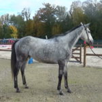 kaly_photo_03_221025